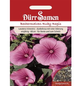 Dürr Samen Bechermalve  Ruby Regis, dunkelrosa mit roter Aderung, einjährig, 60cm