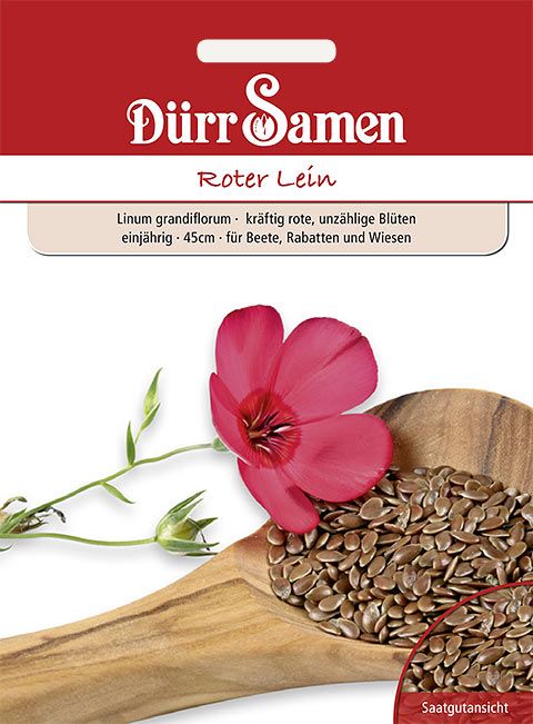 Dürr Samen Bunter Lein Roter Lein, einjährig, 45cm