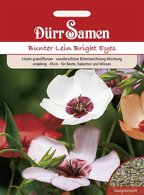 Dürr Samen Bunter Lein Bright Eyes