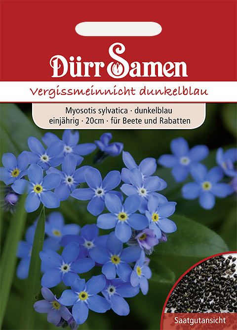 Dürr Samen Vergissmeinnicht  Blau, einjährig, 20cm