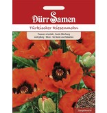 Dürr Samen Türkischer Riesenmohn