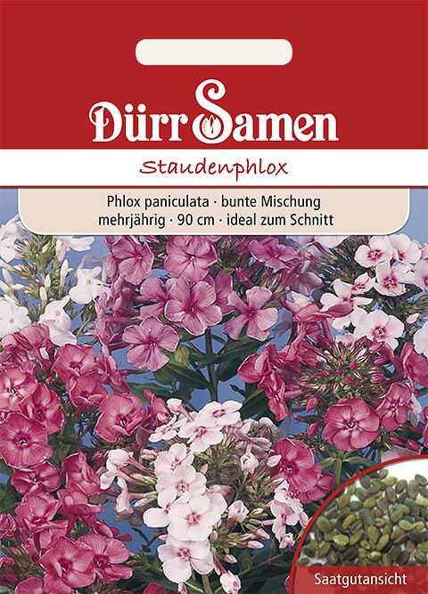 Dürr Samen Staudenphlox Mischung, einjährig