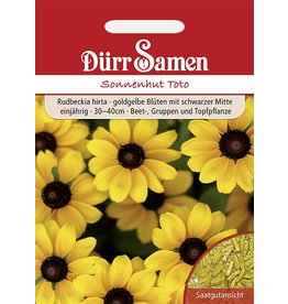 Dürr Samen Sonnenhut  Toto, goldgelbe Blüten, einjährig, 30–40cm