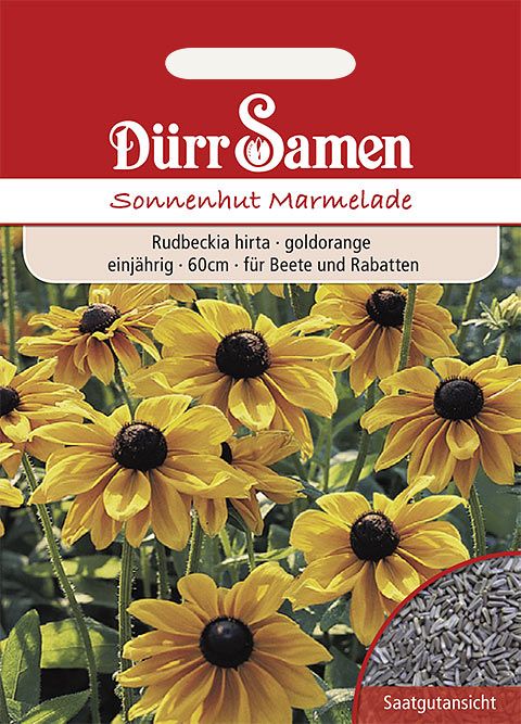 Dürr Samen Sonnenhut  Marmelade, goldorange Blüten, einjährig, 60cm