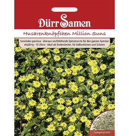 Dürr Samen Husarenknöpfchen  Million Suns, einjährig, 15-20cm