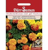 Dürr Samen Studentenblumen Niedere gefüllte Mischung, einjährig, 20cm