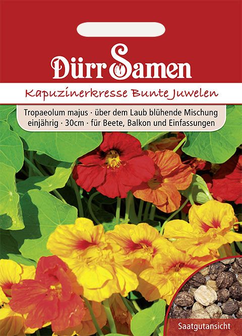 Dürr Samen Kapuzinerkresse  Bunte Juwelen, einjährig, 30cm