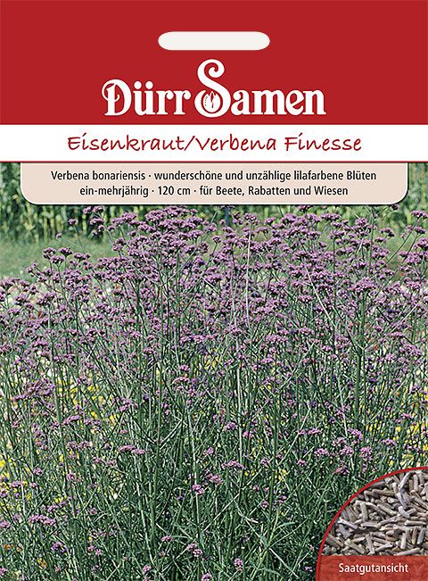 Dürr Samen Eisenkraut  Finesse, lilafarbene Blüten, ein-mehrjährig, 120cm