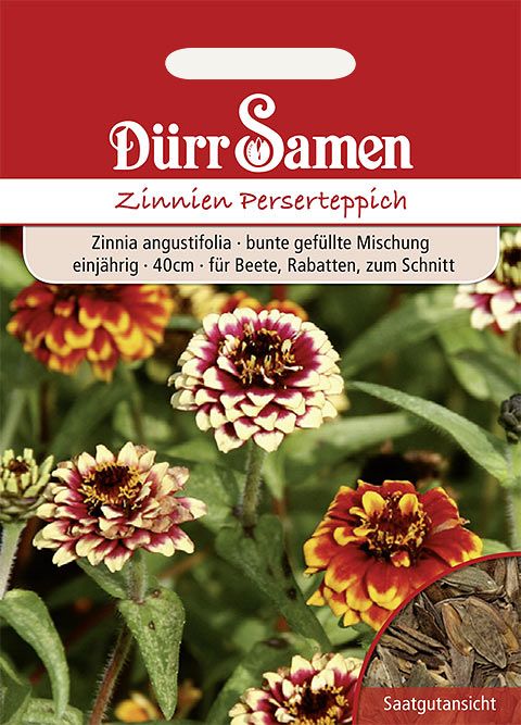 Dürr Samen Zinnien  Perserteppich, bunte gefüllte Mischung, einjährig, 40cm