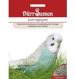 Dürr Samen Ziervogelgras