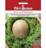 Dürr Samen Oster- und Bastelgras