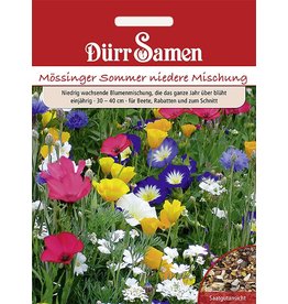 Dürr Samen Blumenmischung Mössinger Sommer nieder, einjährig, 30– 40cm