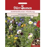 Dürr Samen Blumenmischung Schattenblumen, ein- und mehrjährig, 20-30cm