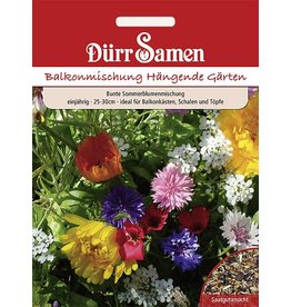 Dürr Samen Blumenmischung Balkon-Mischung, einjährig, 25-30cm