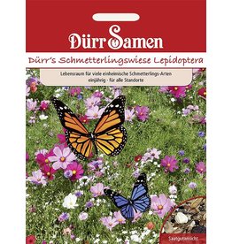 Dürr Samen Blumenmischung Schmetterlingswiese, einjährig, 50cm