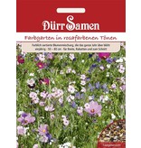 Dürr Samen Blumenmischung Traumgarten pinkfarbene Töne, einjährig, 50–80cm