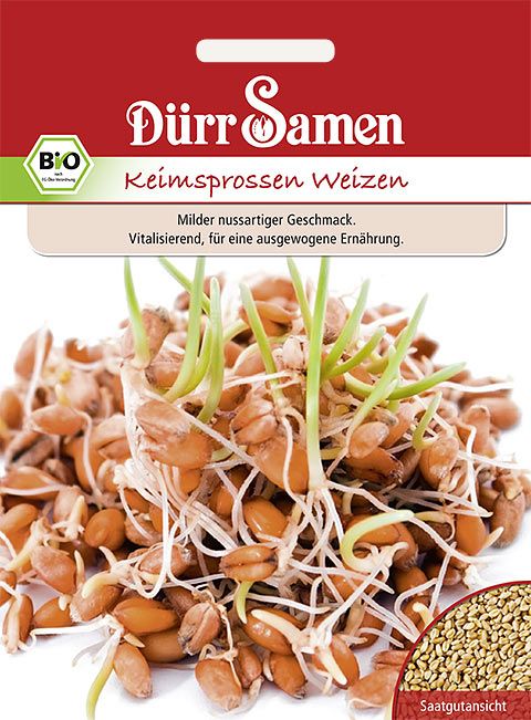 Dürr Samen BIO-Keimsprossen  Weizen