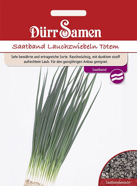 Dürr Samen Saatband Lauchzwiebeln Totem