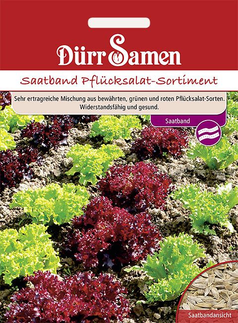 Dürr Samen Saatband Pflücksalat-Sortiment