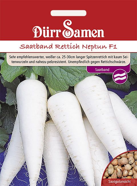 Dürr Samen Saatband Rettich Neptun F1