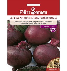 Dürr Samen Saatband Rote Rüben Rote Kugel 2