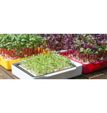 Cressbar® Cresspad GartenCress BIO