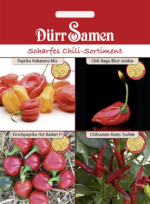 Dürr Samen Scharfes Chilisortiment