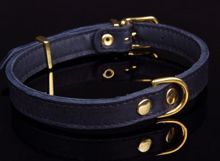 Leren hondenhalsband gold, exclusive