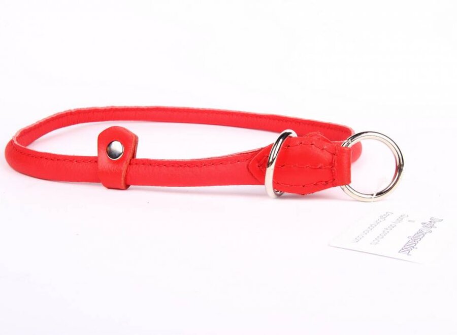 Leren sliphalsband hond (chroom)