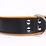 Leren hondenhalsband