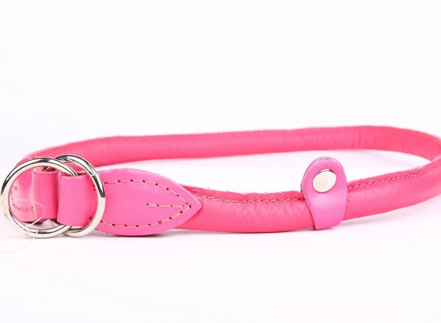 Leren sliphalsband hond (chroom)