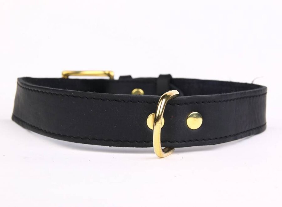 Leren hondenhalsband gold, exclusive