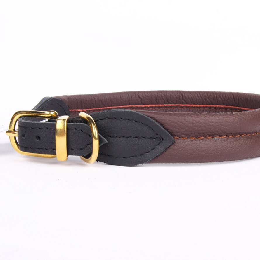 Leren hondenhalsbanden