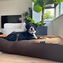 Hondenbed chocolade bruin