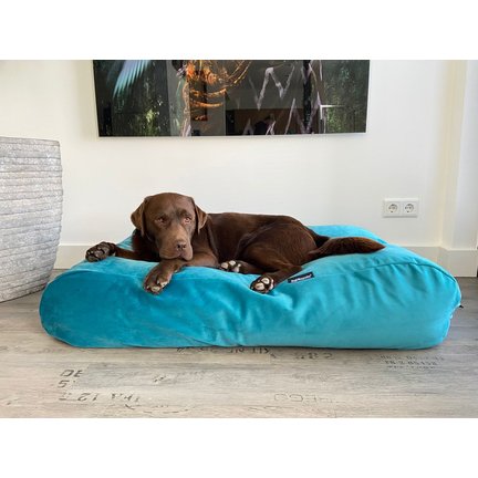 Velvet hondenkussens