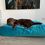 Hondenbed strong turquoise velvet