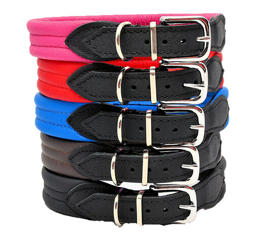 Leren hondenhalsbanden