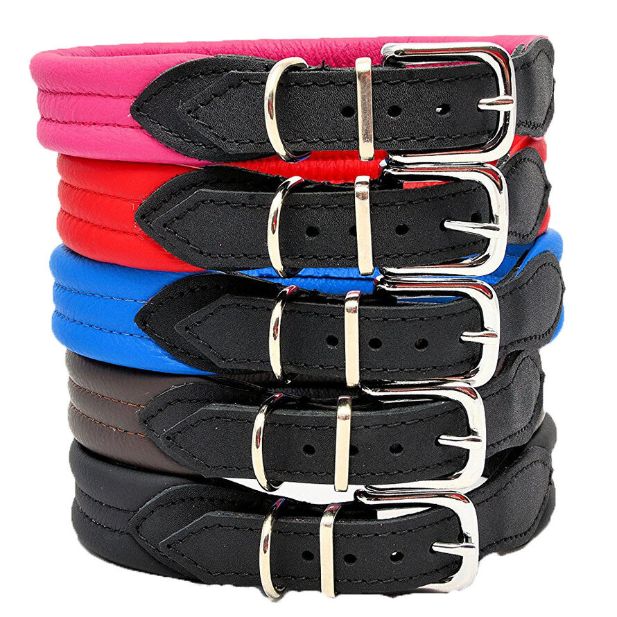 Leren hondenhalsbanden