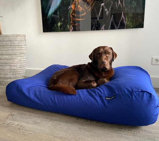 Extra small hondenkussens