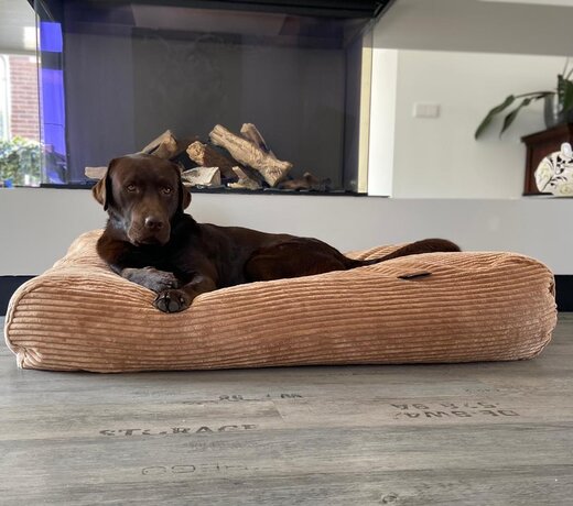 Giant ribcord hondenkussen – Comfort en kwaliteit voor uw hond