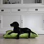 Hondenbed bench kussen lime  77 x 51 cm