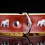 Leren halsband Engelse Bulldog