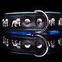 Leren halsband Engelse Bulldog