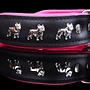 Leren halsband Franse Bulldog