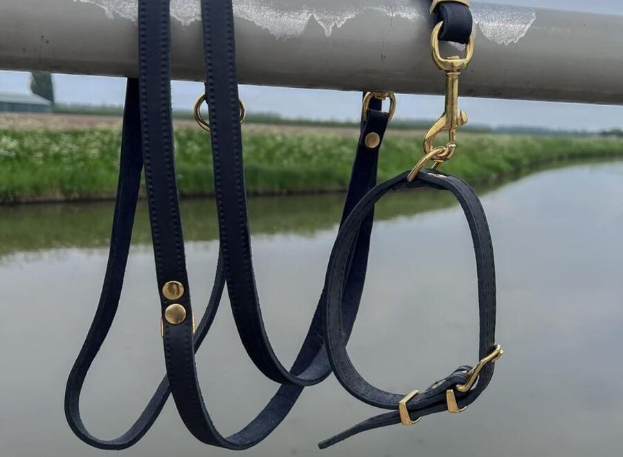 Verstelbare leren hondenriem exclusive gold