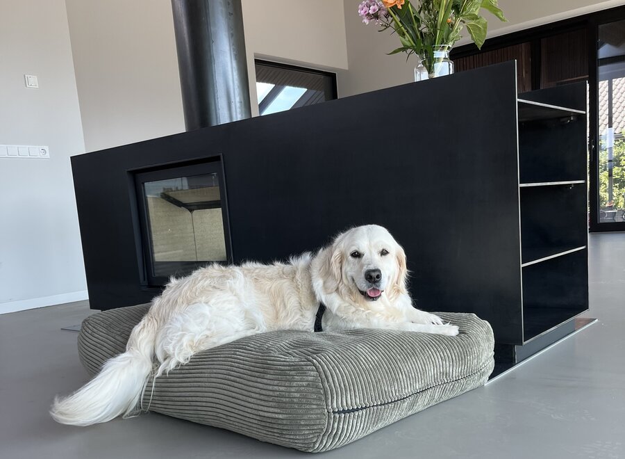 Olijfgroen ribcord hondenkussen | Luxe, premium kwaliteit, wasbaar, duurzaam & orthopedisch comfortabel hondenbed/hondenmand