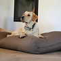 Hondenbed taupe/bruin