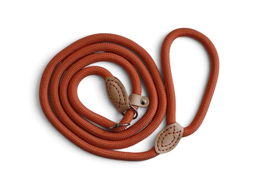 Nylon Retrieverlijn voor Honden | Rond Gevlochten Hondenlijn met Verstelbare Leren Stop | 1,5 of 1,8 meter | 14 of 16 mm | 7 Kleuren