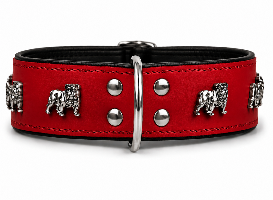 Leren halsband Engelse Bulldog