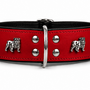 Leren halsband Engelse Bulldog
